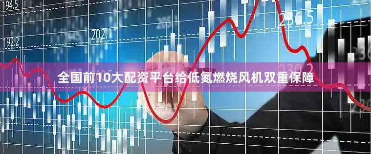 全国前10大配资平台给低氮燃烧风机双重保障