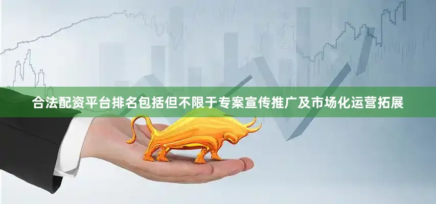 合法配资平台排名包括但不限于专案宣传推广及市场化运营拓展