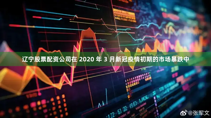 辽宁股票配资公司在 2020 年 3 月新冠疫情初期的市场暴跌中