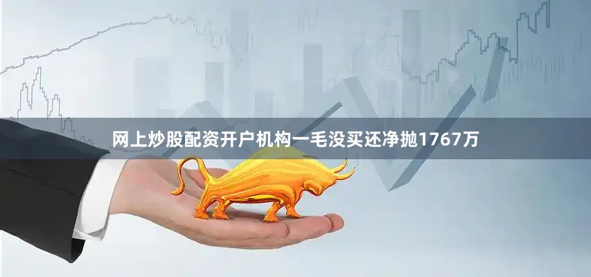 网上炒股配资开户机构一毛没买还净抛1767万